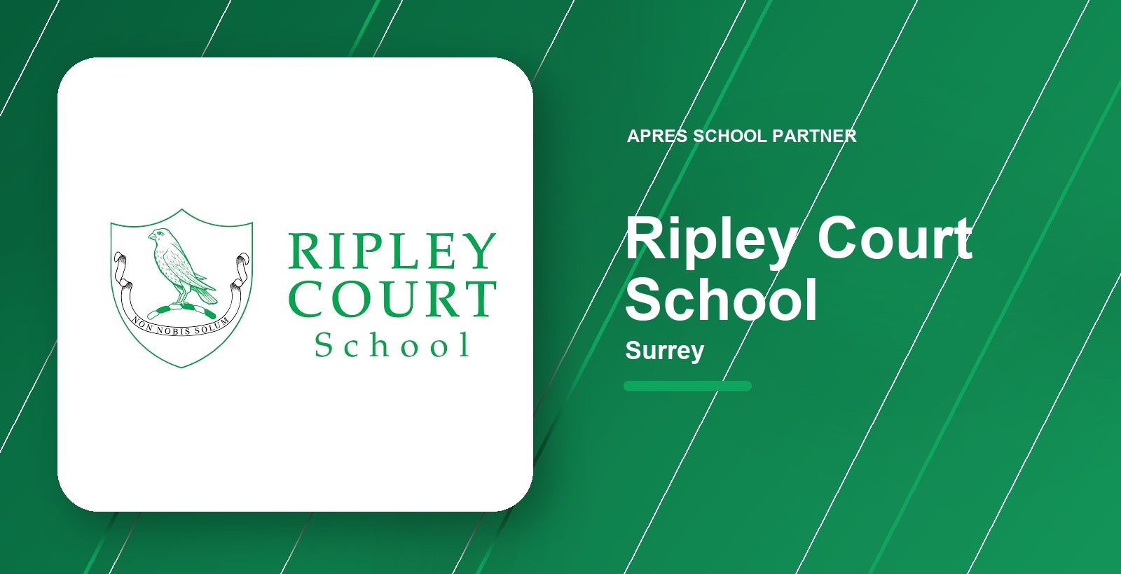 Branded venue card for Holiday Camp at Ripley Court School in Surrey.